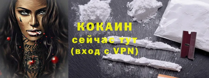 закладки  shop какой сайт  Cocaine VHQ  Новошахтинск 