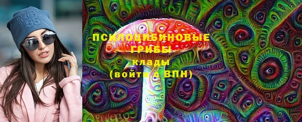 таблы Богданович